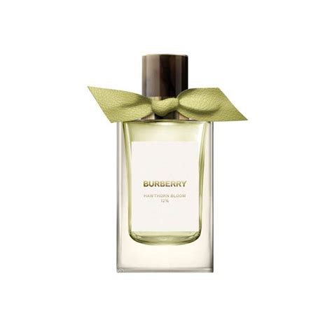 signatures hawthorn bloom burberry.